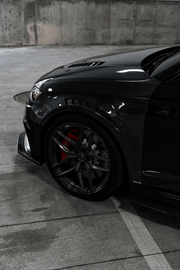 Audi RS3 Carbon Fiber Fenders